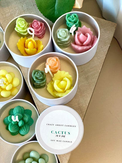 Cactus In A Jar Handmade Candle — Wind-Down Ritual
