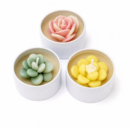 Cactus In A Jar Handmade Candle — Wind-Down Ritual