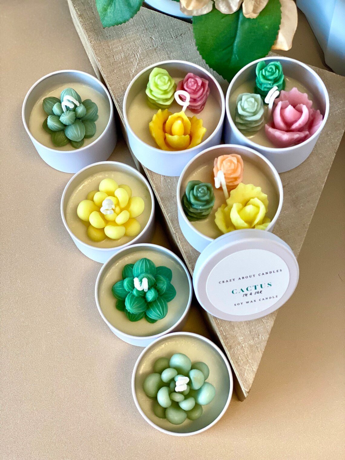 Cactus In A Jar Handmade Candle — Wind-Down Ritual