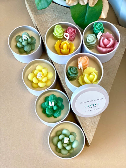 Cactus In A Jar Handmade Candle — Wind-Down Ritual
